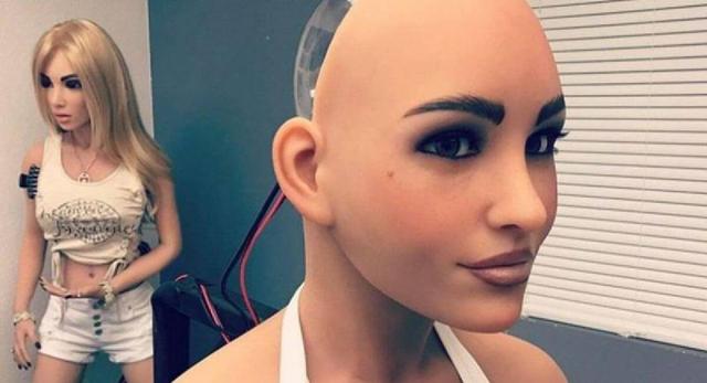 realdoll研发机器人-第3张图片-广州国自机器人