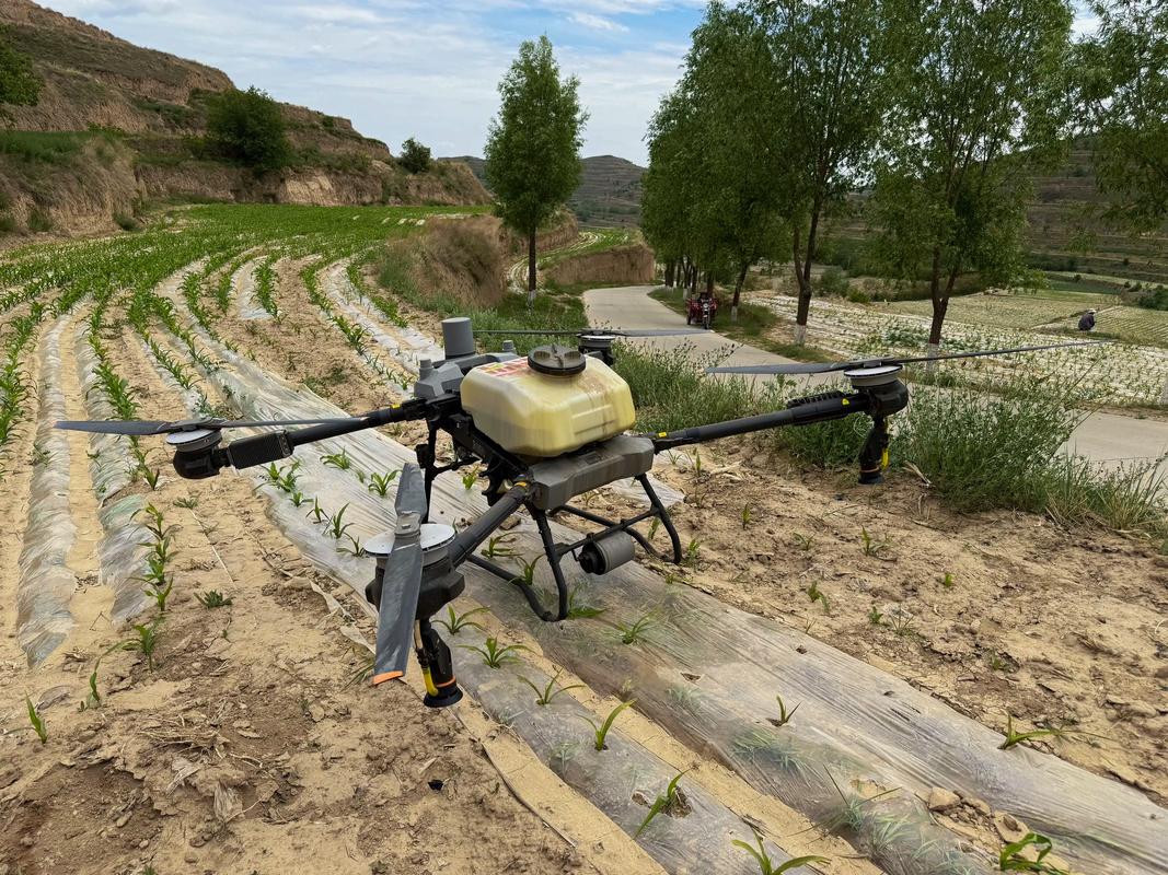 深圳大疆农业植保无人机如何改变传统农业?-第1张图片-广州国自机器人 深圳大疆农业植保无人机如何改变传统农业?-第1张图片-广州国自机器人