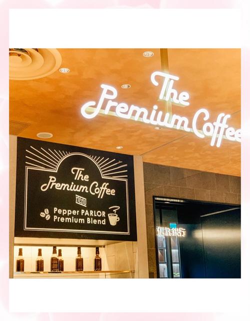 Pepper机器人哪里能买到？-第2张图片-广州国自机器人