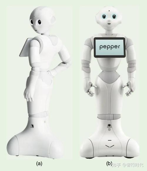 Pepper机器人哪里能买到？-第1张图片-广州国自机器人