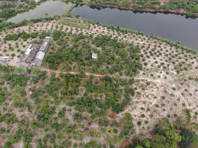 无人机摸排吸毒场所，隐私安全如何保障？-第2张图片-广州国自机器人