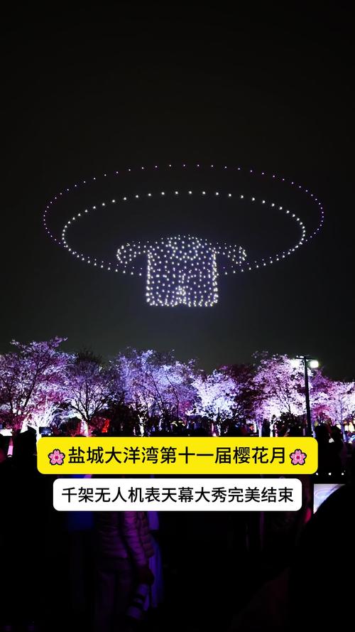 盐城无人机QQ 微信群-第2张图片-广州国自机器人