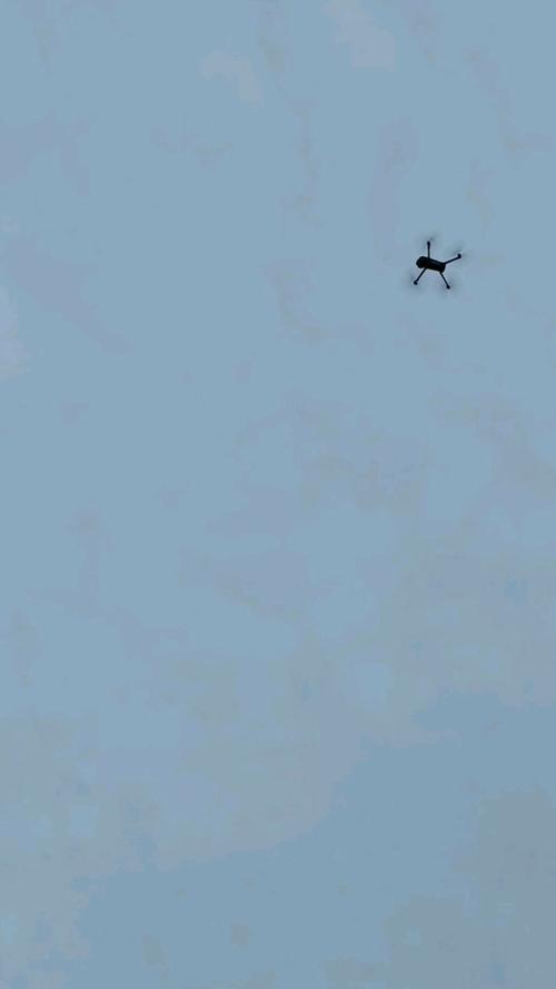 悉尼大学能飞无人机吗？-第3张图片-广州国自机器人