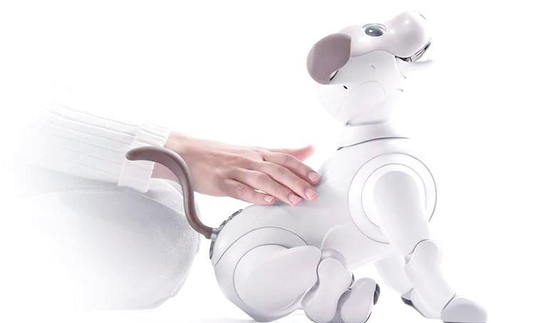 aibo机器人是智能伙伴还是科技玩具?-第2张图片-广州国自机器人 aibo机器人是智能伙伴还是科技玩具?-第2张图片-广州国自机器人