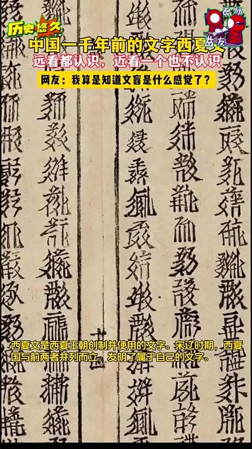 AI如何精准识别西夏文字?-第1张图片-广州国自机器人 AI如何精准识别西夏文字?-第1张图片-广州国自机器人