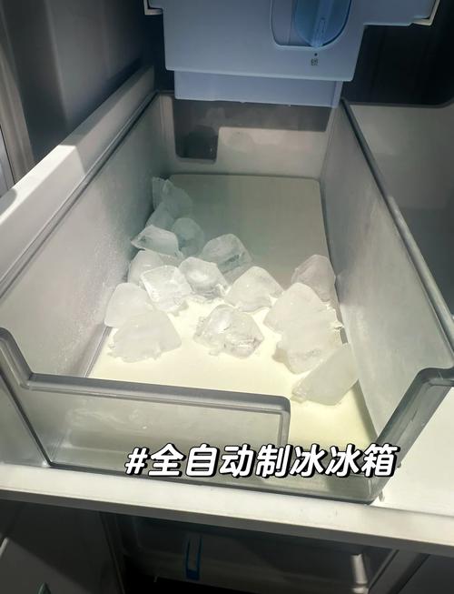 人工智能如何实现冰箱保鲜智能显示？-第2张图片-广州国自机器人