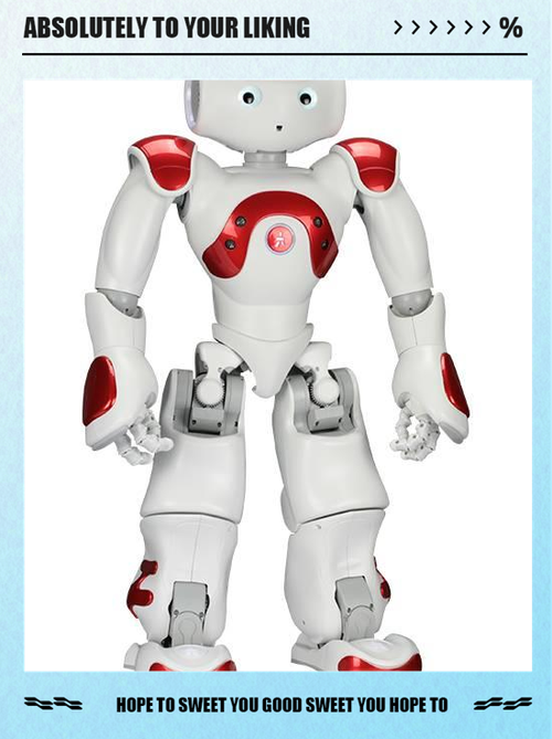 机器人nao 音量调节-第2张图片-广州国自机器人