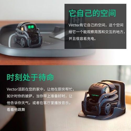 Cozmo机器人如何说中文？-第2张图片-广州国自机器人