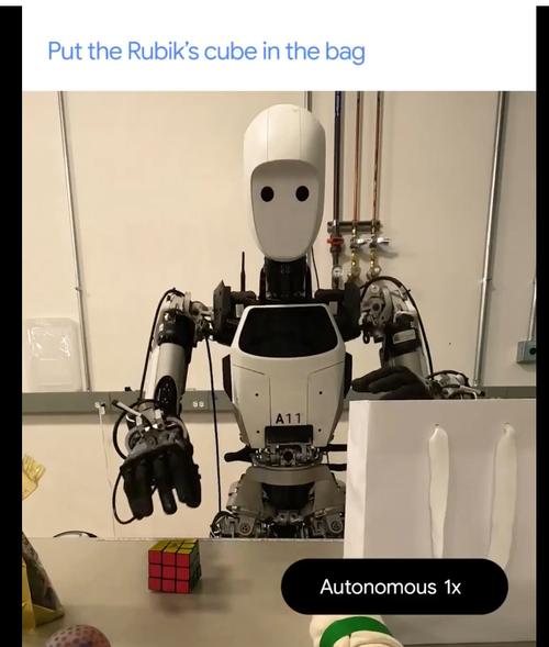 战斗机器人Google有何超能力？-第3张图片-广州国自机器人