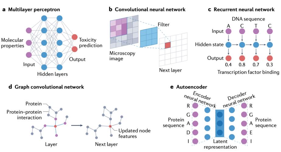 BP神经网络如何赋能人工智能?-第3张图片-广州国自机器人 BP神经网络如何赋能人工智能?-第3张图片-广州国自机器人