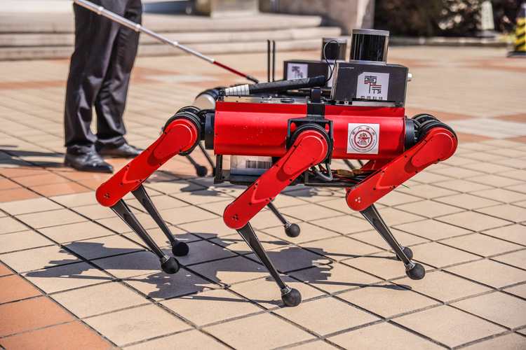 机器人双色球16021期开奖号码是多少？-第2张图片-广州国自机器人