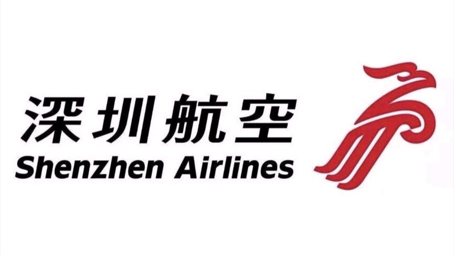 深圳星空无人机logo有何设计巧思？-第1张图片-广州国自机器人