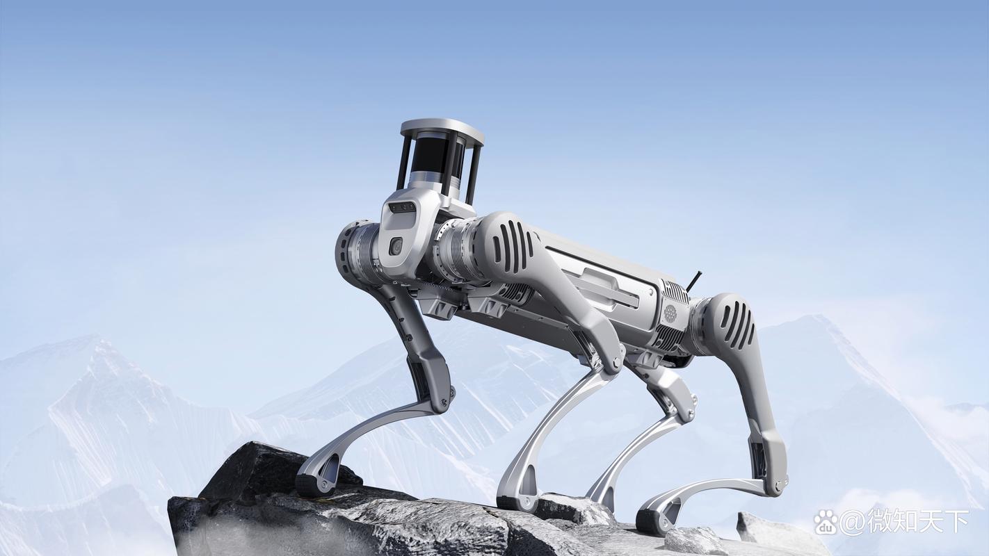 山东日照机器人2025将如何引领产业升级？-第2张图片-广州国自机器人