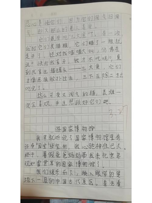无人机参观时，如何描述它的样子与飞行？-第3张图片-广州国自机器人