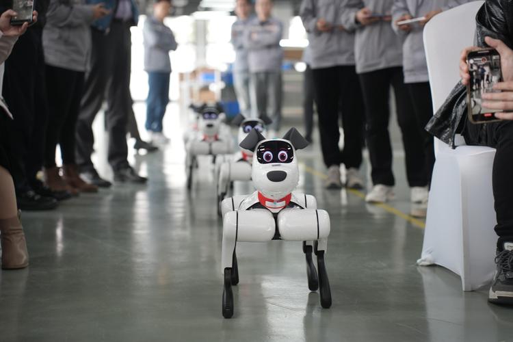 babyq机器人有哪些神奇功能？-第3张图片-广州国自机器人