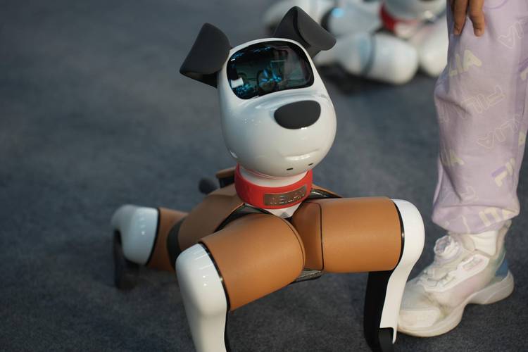 Baby Q机器人真能自己开车吗？-第1张图片-广州国自机器人