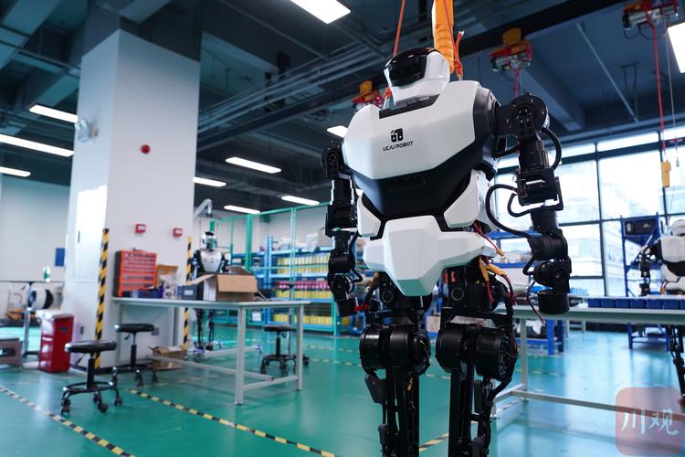 深圳机器人创新企业有何突破？-第2张图片-广州国自机器人