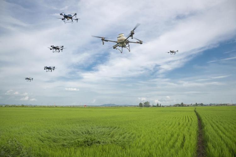 无人机如何赋能智慧农业？-第2张图片-广州国自机器人