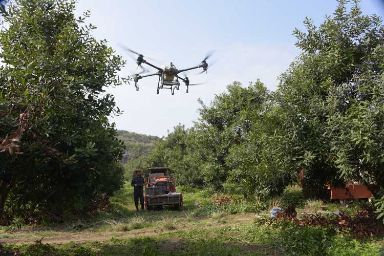 极飞植保无人机如何助力果树高效种植?-第1张图片-广州国自机器人 极飞植保无人机如何助力果树高效种植?-第1张图片-广州国自机器人