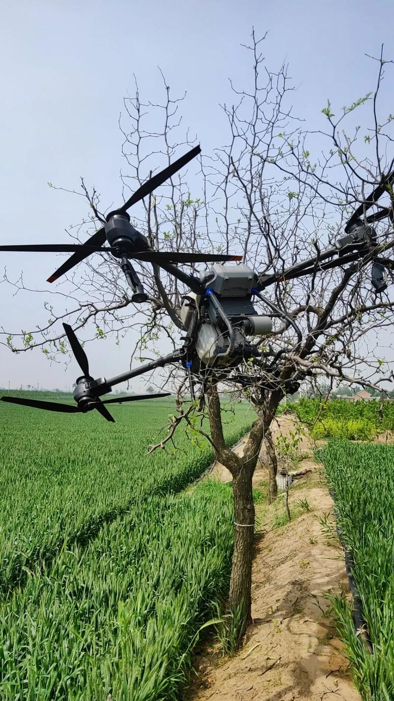 极飞植保无人机如何助力果树高效种植?-第3张图片-广州国自机器人 极飞植保无人机如何助力果树高效种植?-第3张图片-广州国自机器人