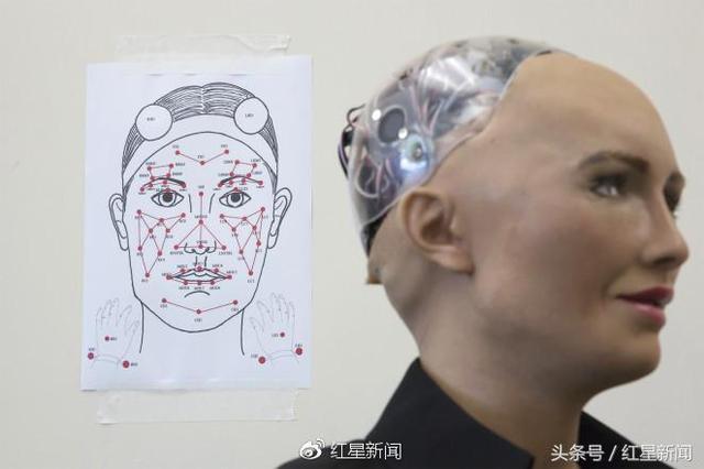 汉森sophia机器人是真实人类吗？-第2张图片-广州国自机器人