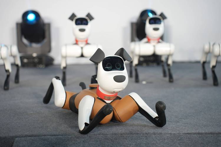 假扮baby q机器人有何用意?-第1张图片-广州国自机器人 假扮baby q机器人有何用意?-第1张图片-广州国自机器人