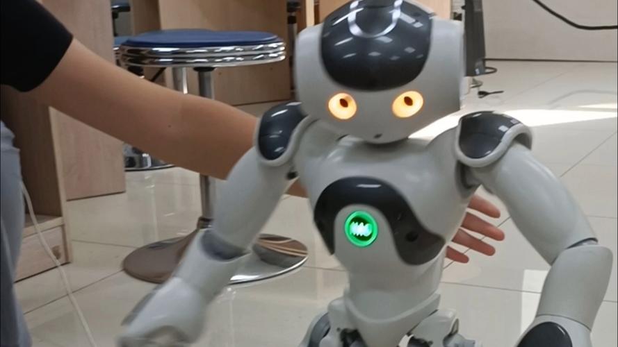 nao机器人自主研发突破关键技术了吗？-第2张图片-广州国自机器人