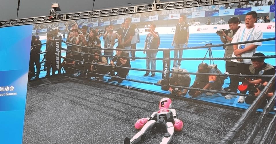2025机器人搏击大赛，谁能称霸擂台？-第1张图片-广州国自机器人