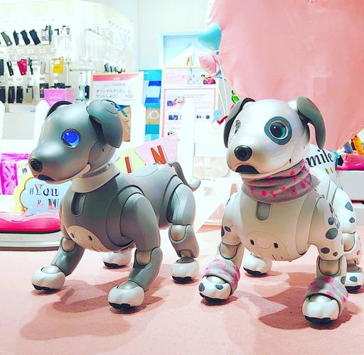 komo儿童机器人价格多少？-第2张图片-广州国自机器人