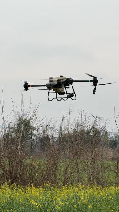 太仆寺旗大疆无人机喷药效果如何？-第1张图片-广州国自机器人