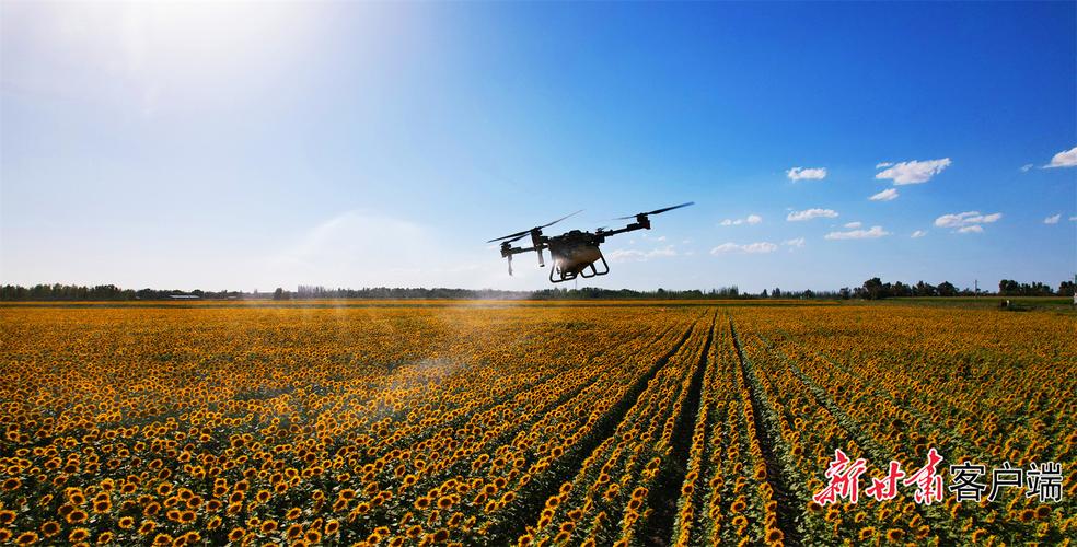 太仆寺旗大疆无人机喷药效果如何？-第2张图片-广州国自机器人