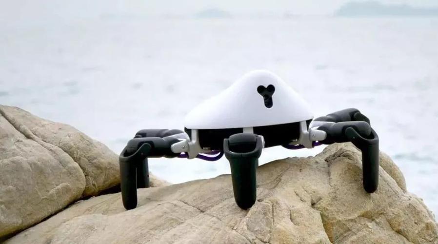 hexa机器人如何适应全地形挑战？-第1张图片-广州国自机器人