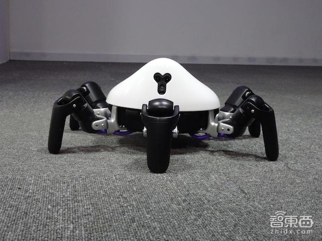 hexa机器人如何适应全地形挑战？-第2张图片-广州国自机器人