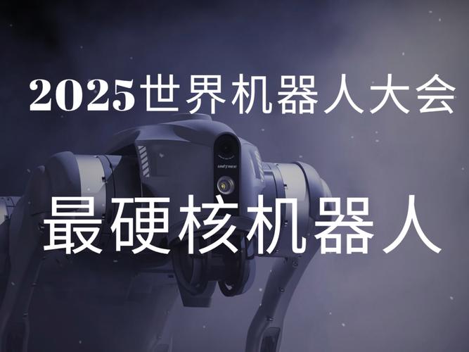 2025机器人战斗排名谁将称霸？-第2张图片-广州国自机器人