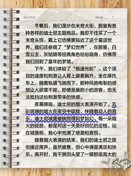 迪斯尼乐园 无人机心得-第1张图片-广州国自机器人 迪斯尼乐园 无人机心得-第1张图片-广州国自机器人