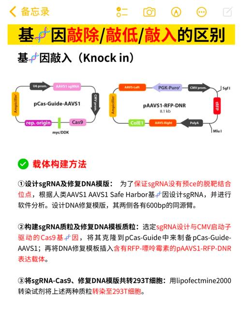 人工智能与基因编辑将如何重塑未来？-第3张图片-广州国自机器人