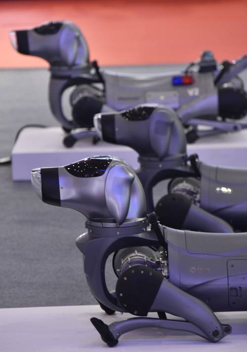 2025后机器人将如何改变世界？-第1张图片-广州国自机器人