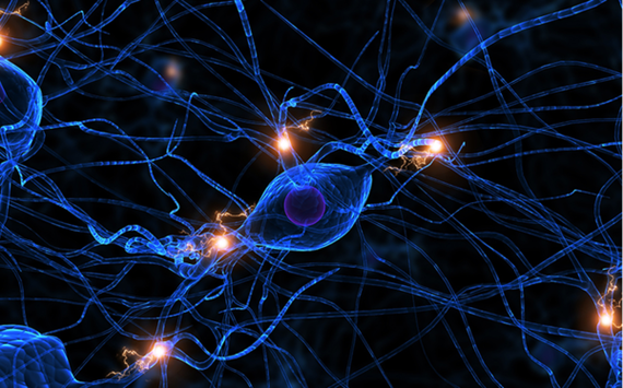 人工智能与神经形态芯片如何协同突破？-第2张图片-广州国自机器人