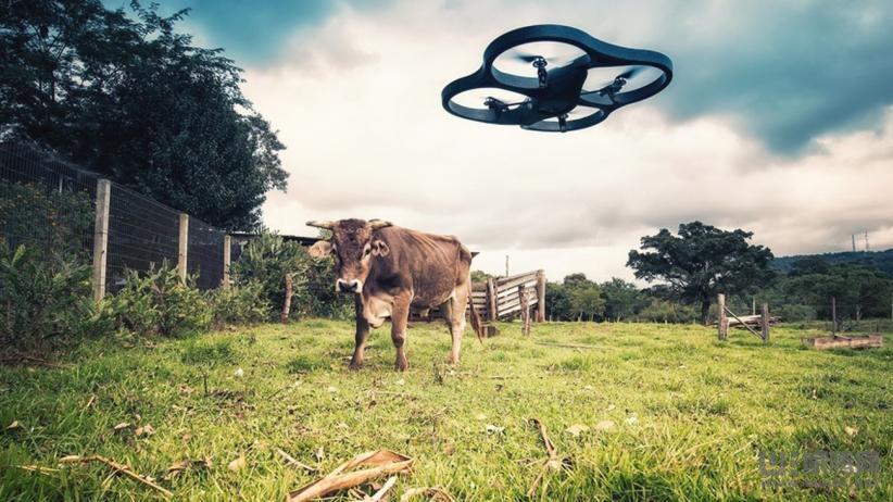 福州首届意念无人机大赛-第1张图片-广州国自机器人