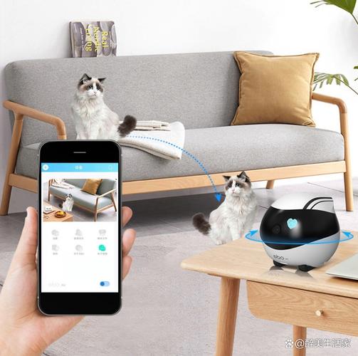 智能陪护机器人 机器猫-第1张图片-广州国自机器人