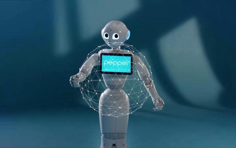 家居机器人Pepper-第1张图片-广州国自机器人