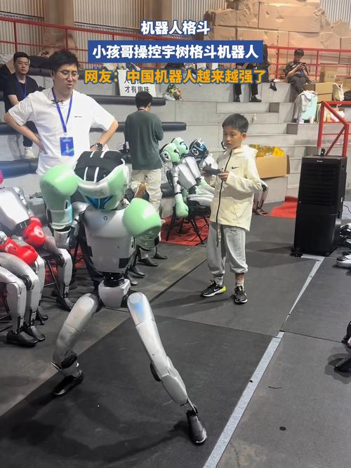 iphone机器人打架-第1张图片-广州国自机器人