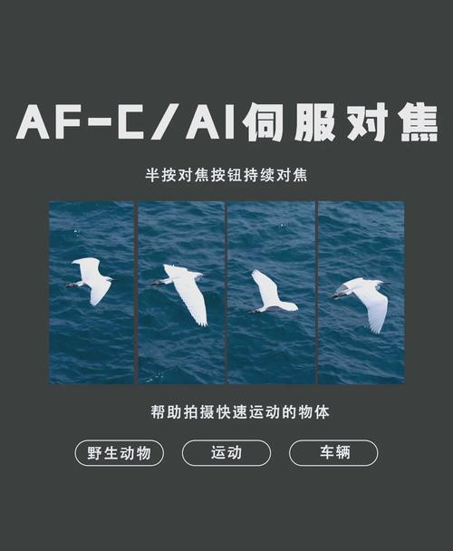 人工智能对焦 单词对焦-第2张图片-广州国自机器人