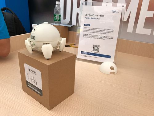 Xpider机器人怎么买？价格多少？-第1张图片-广州国自机器人
