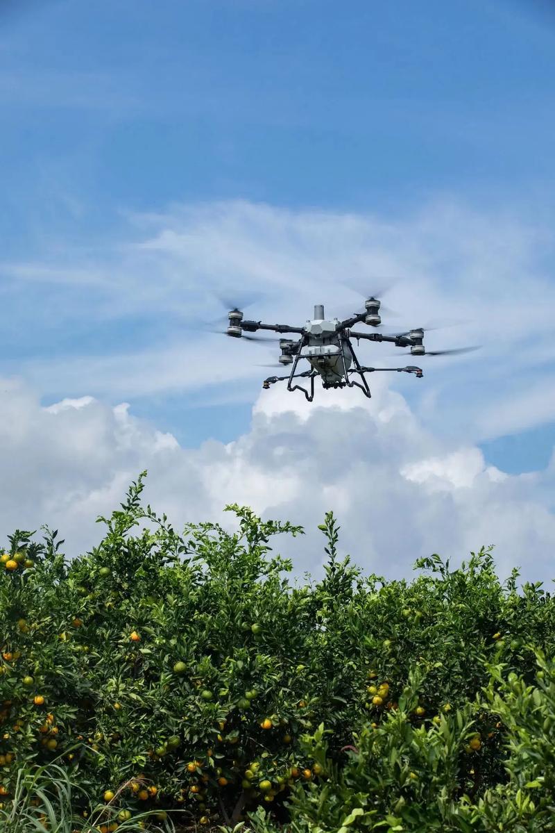 无人机喷洒农药 烧油的-第2张图片-广州国自机器人