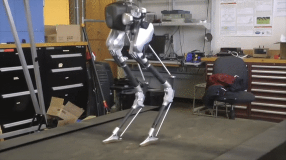 行走机器人cassie-第1张图片-广州国自机器人