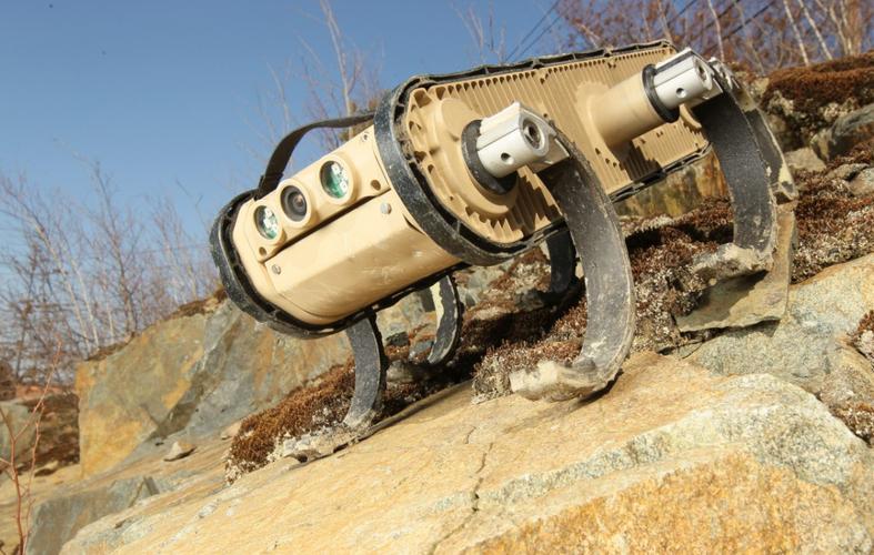 rhex xrl机器人-第1张图片-广州国自机器人