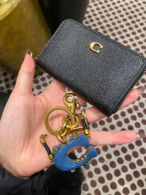 coach联名 机器人-第1张图片-广州国自机器人