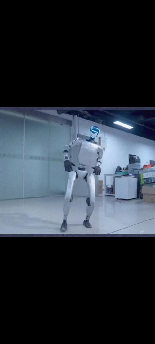 gowild机器人视频-第3张图片-广州国自机器人