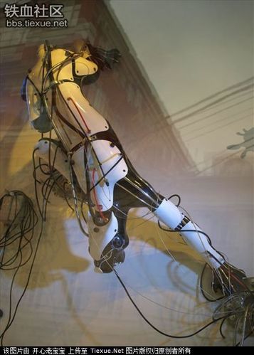 人类与机器人性爱,伦理还是禁忌?-第1张图片-广州国自机器人 人类与机器人性爱,伦理还是禁忌?-第1张图片-广州国自机器人